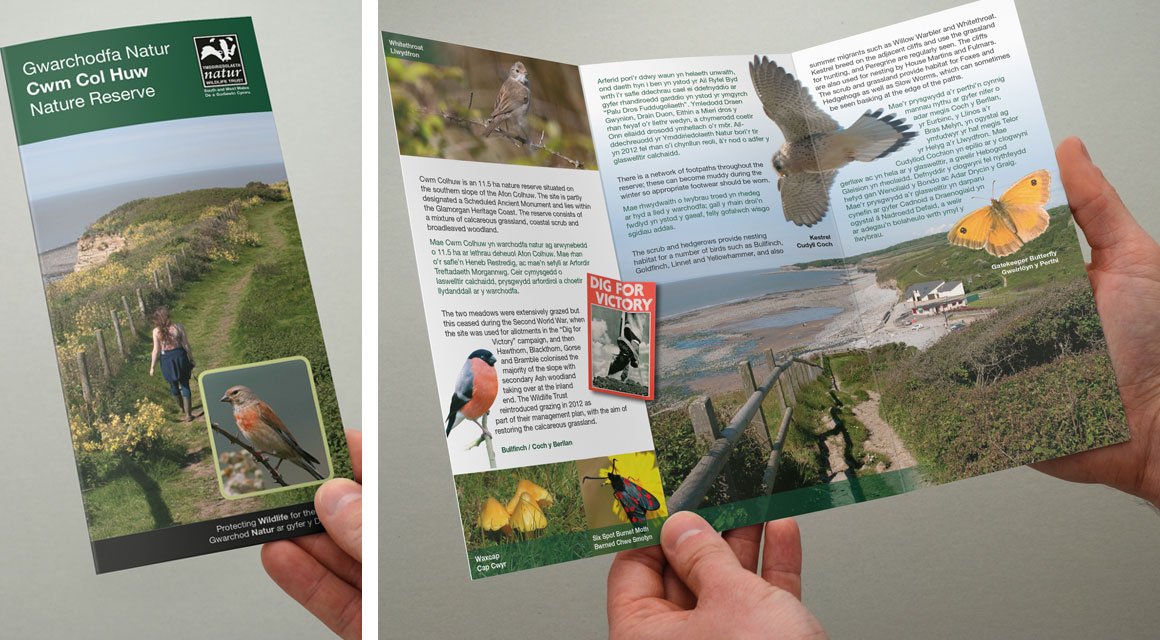 Leaflet for Wildlife Trust - Cwm Col Huw Nature Reserve